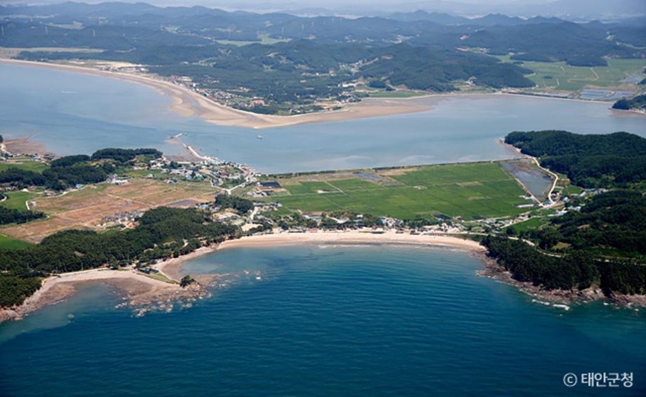 의항해수욕장 이미지 2