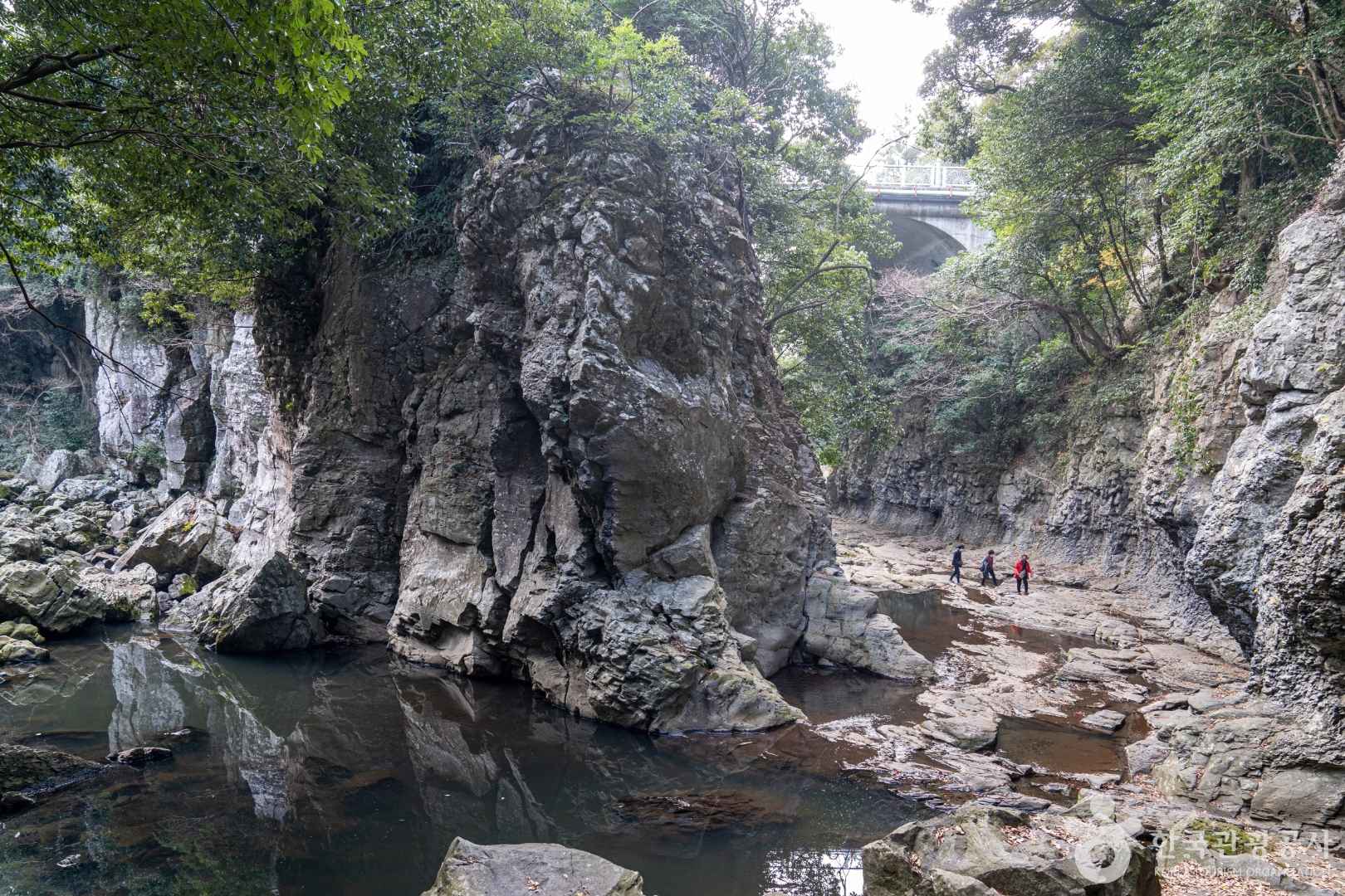 안덕계곡 이미지 4