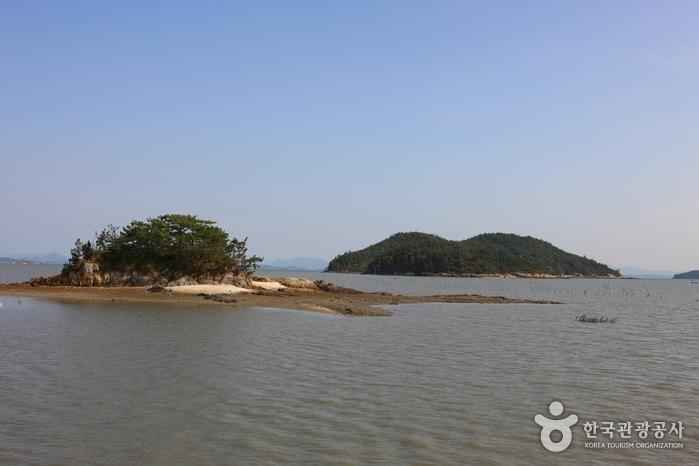 미덕도 이미지 2