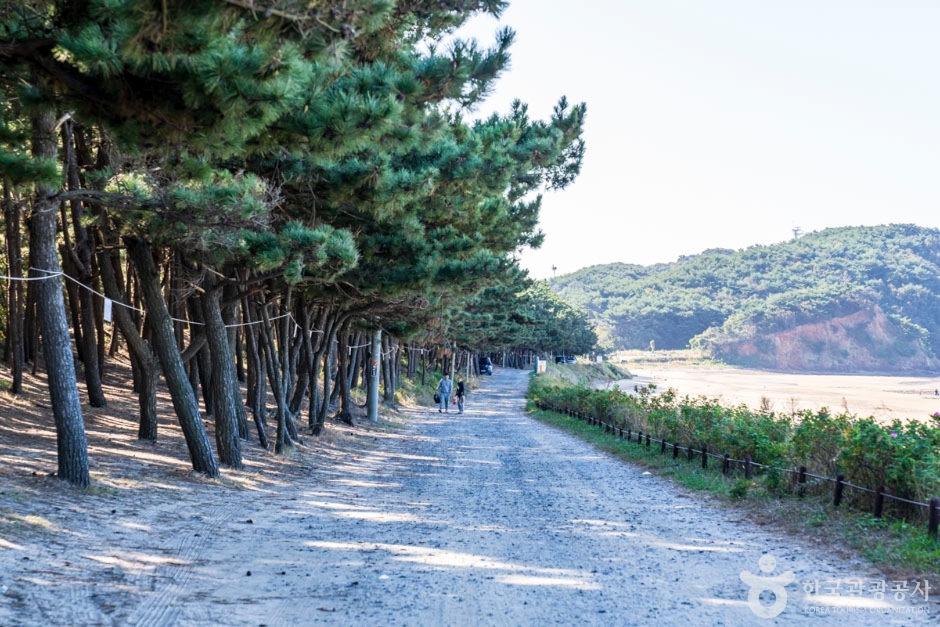 밧개해수욕장 이미지 5