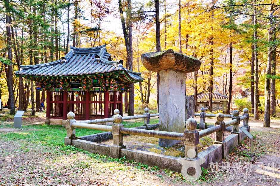 속리산세조길 이미지 4