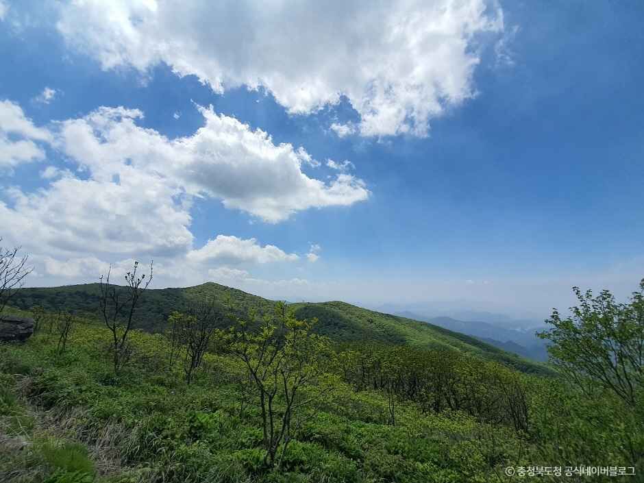 소백산국립공원(북부) 이미지 3
