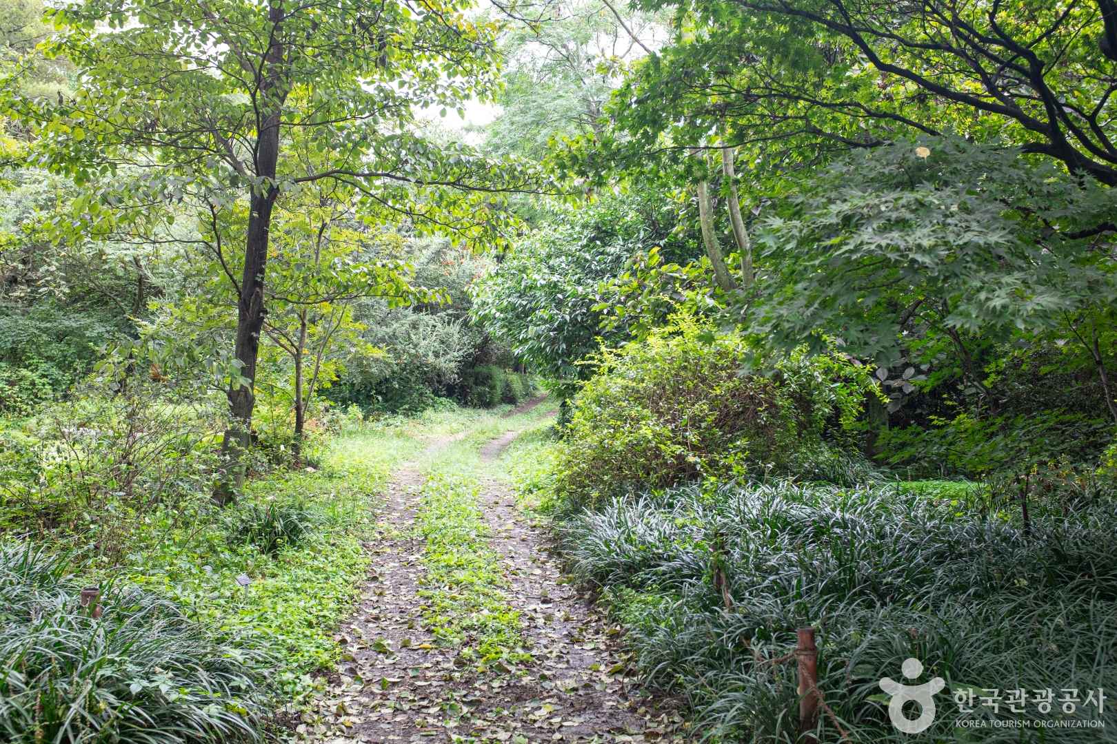 기청산식물원 이미지 2