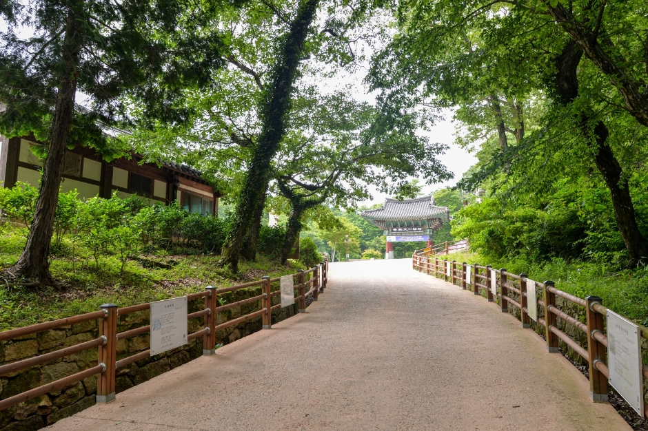 대흥사 [유네스코 세계유산] 이미지 6
