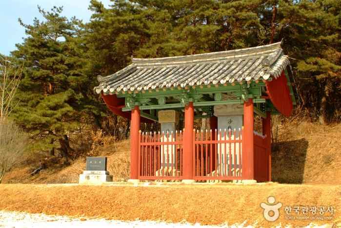 전사벌왕릉 이미지 3