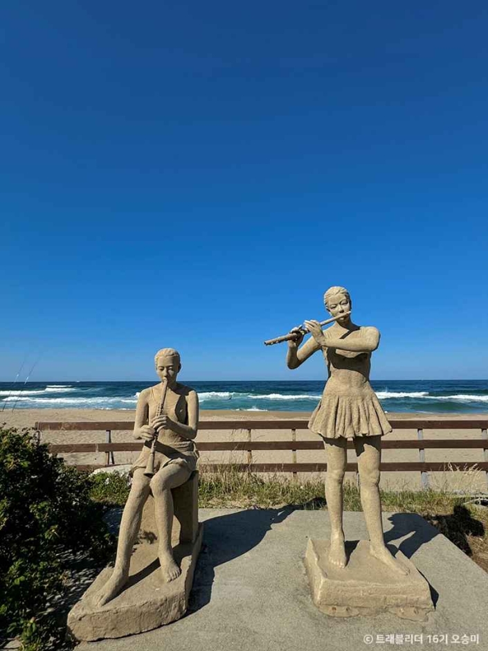 동호해변 이미지 4
