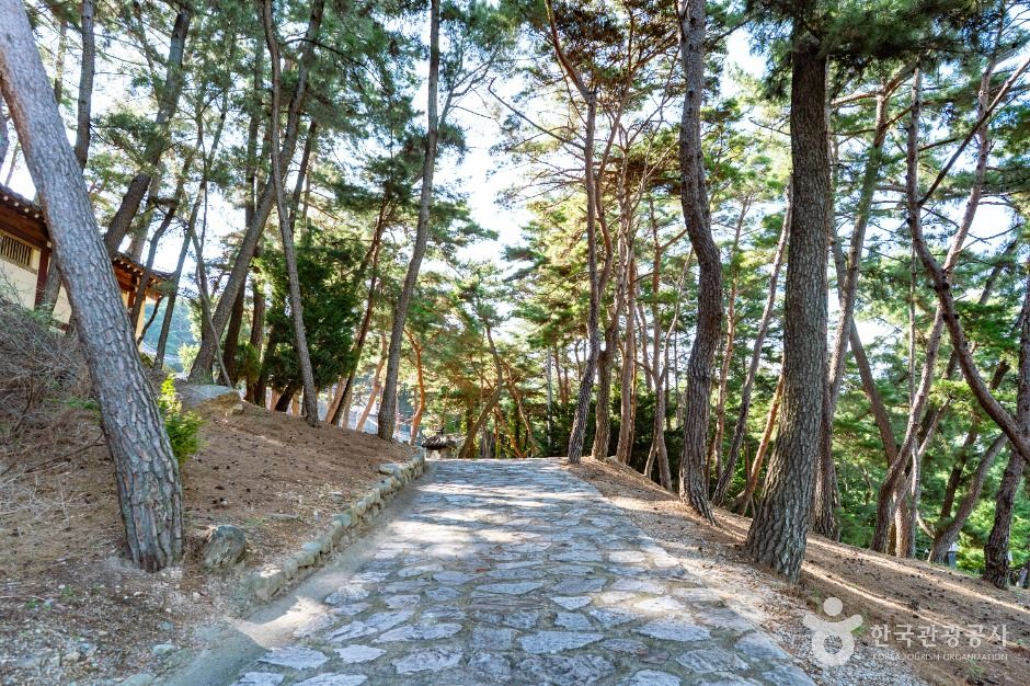 보리사(경주) 이미지 5