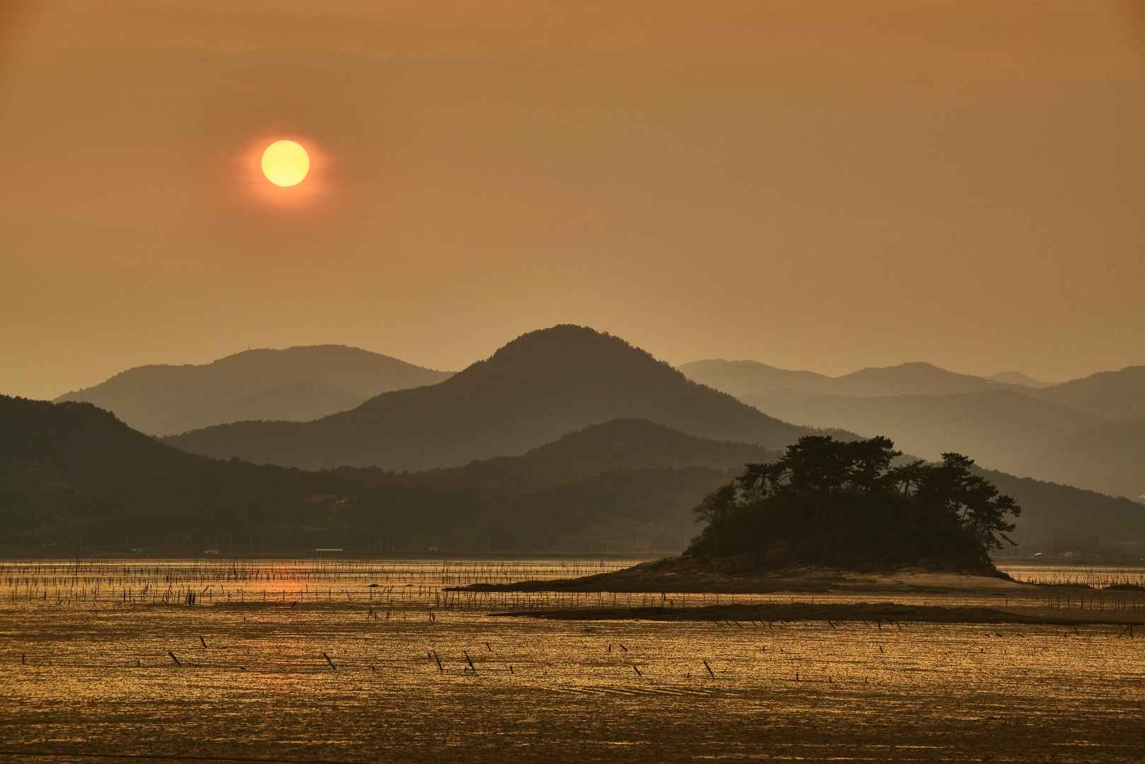와온해변 이미지 1