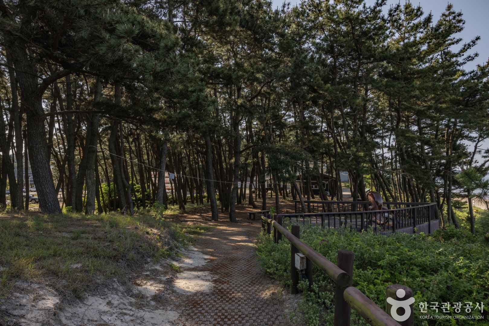 삼봉해수욕장 이미지 6