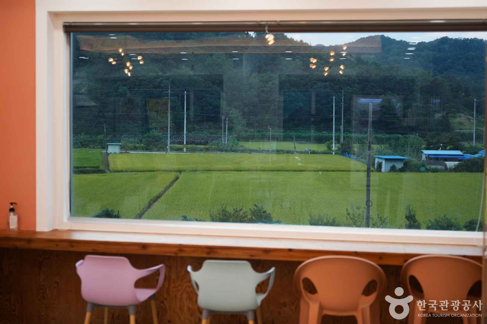 구미승마장 이미지 5