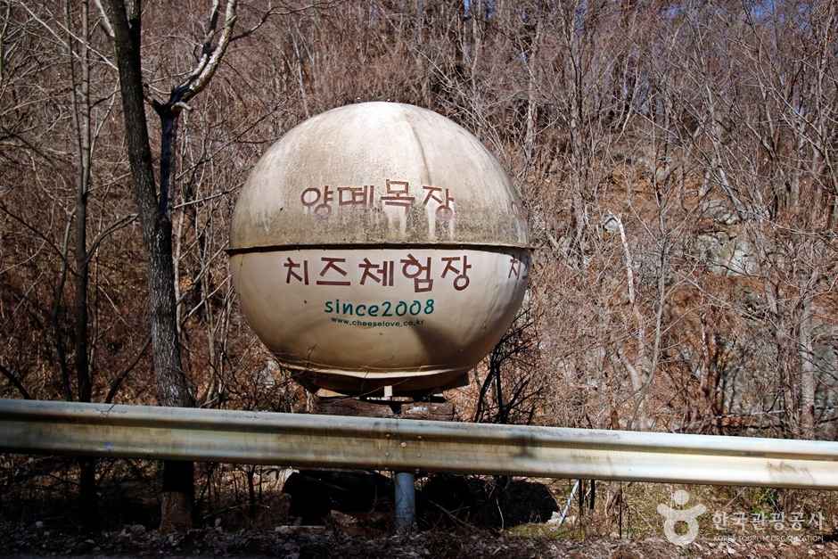 정읍 양떼목장 임실치즈마을 이미지 3