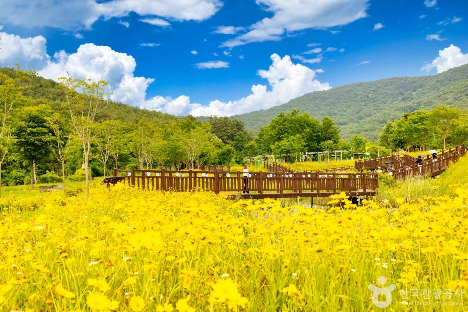 고창 운곡람사르습지 이미지 4