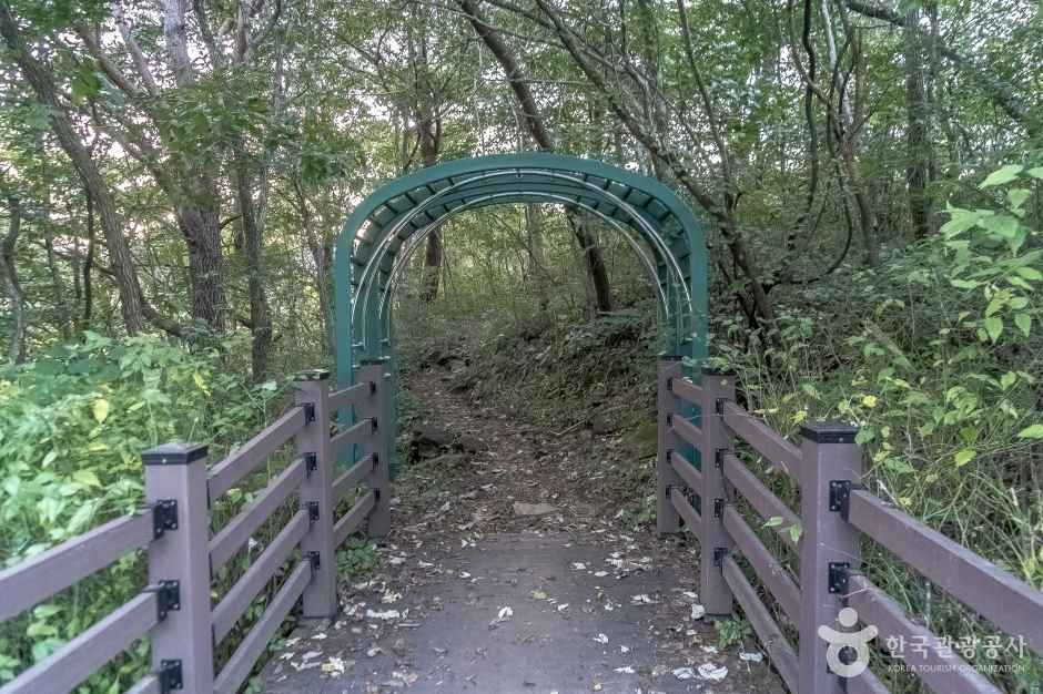 나리소전망대 이미지 6