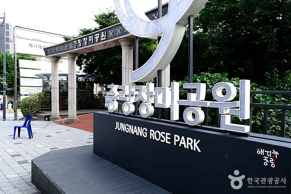 중랑장미공원 이미지 1
