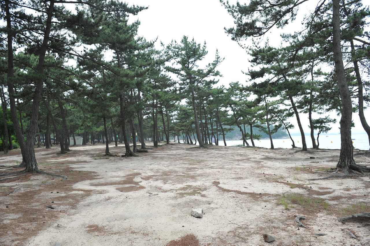 홀통유원지·홀통해변 이미지 3