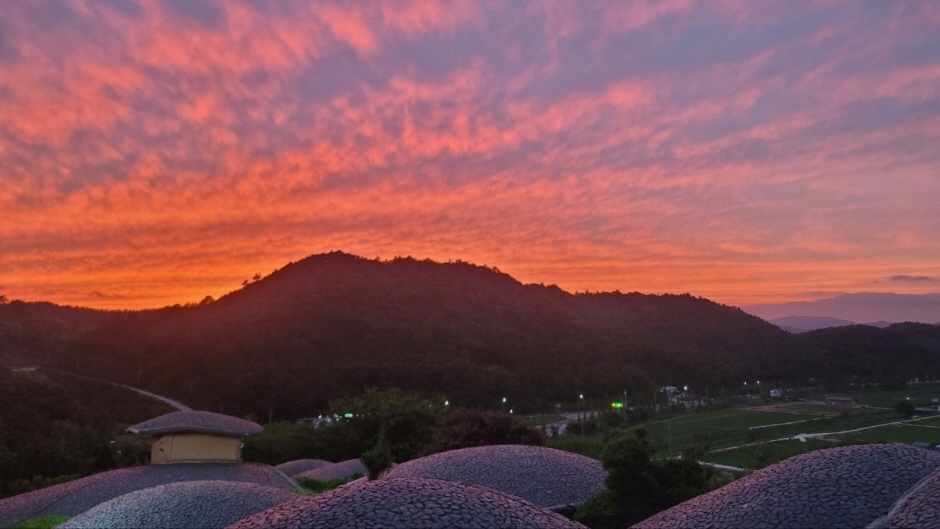 보성 골망태다원 이미지 1