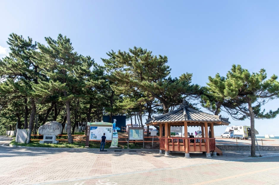 맹방해변 이미지 7
