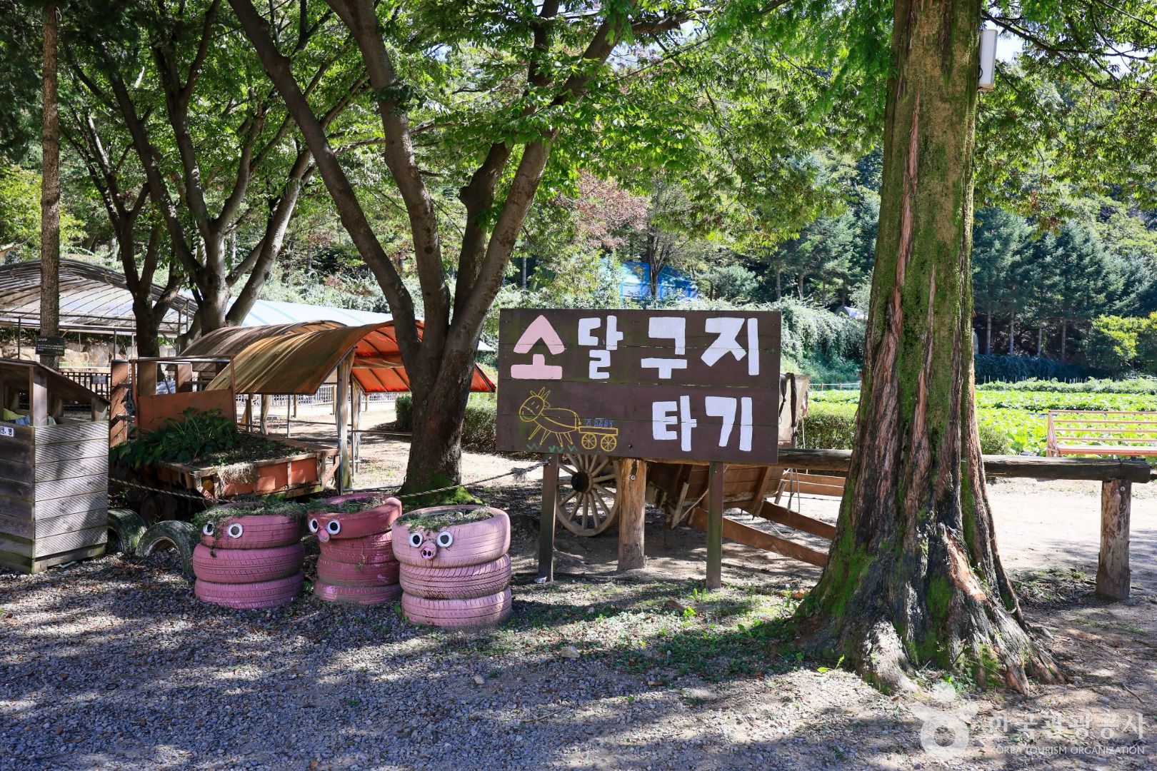 한터농원(한터조랑말농장) 이미지 3