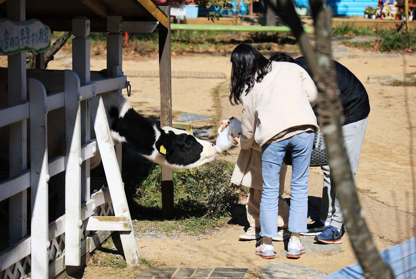 숲속에 동물농장 이미지 2