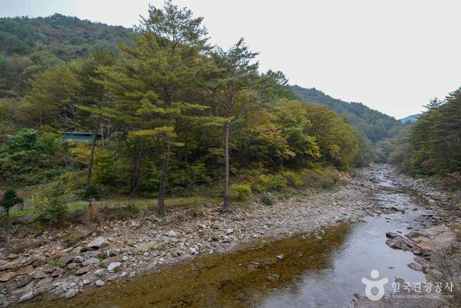 고선계곡(구마계곡) 이미지 3