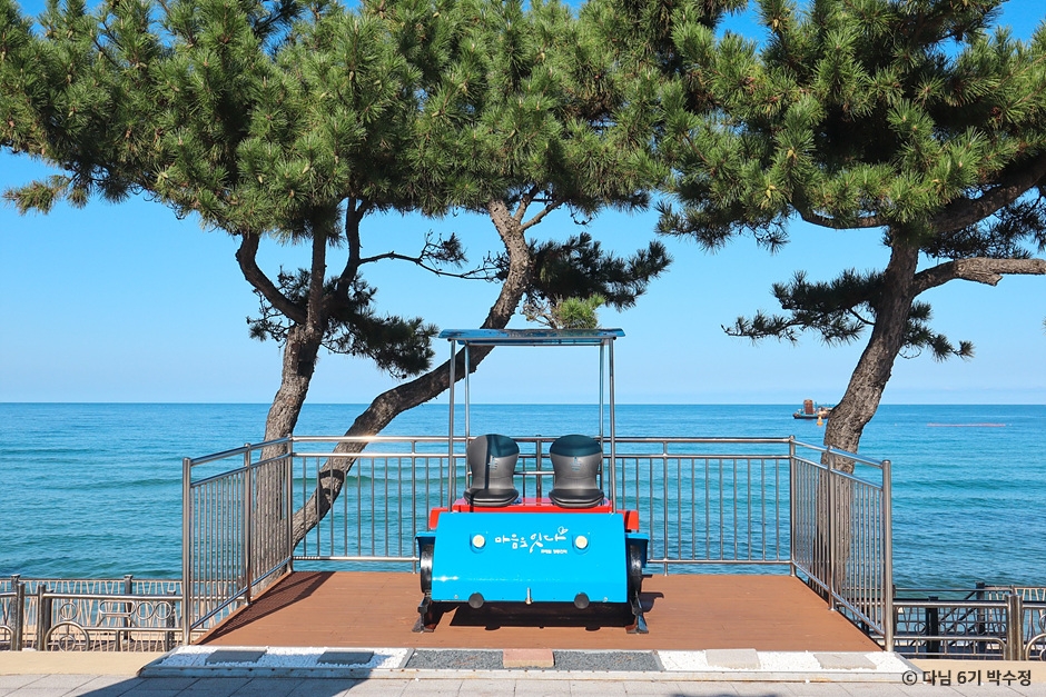 정동진해변 이미지 2