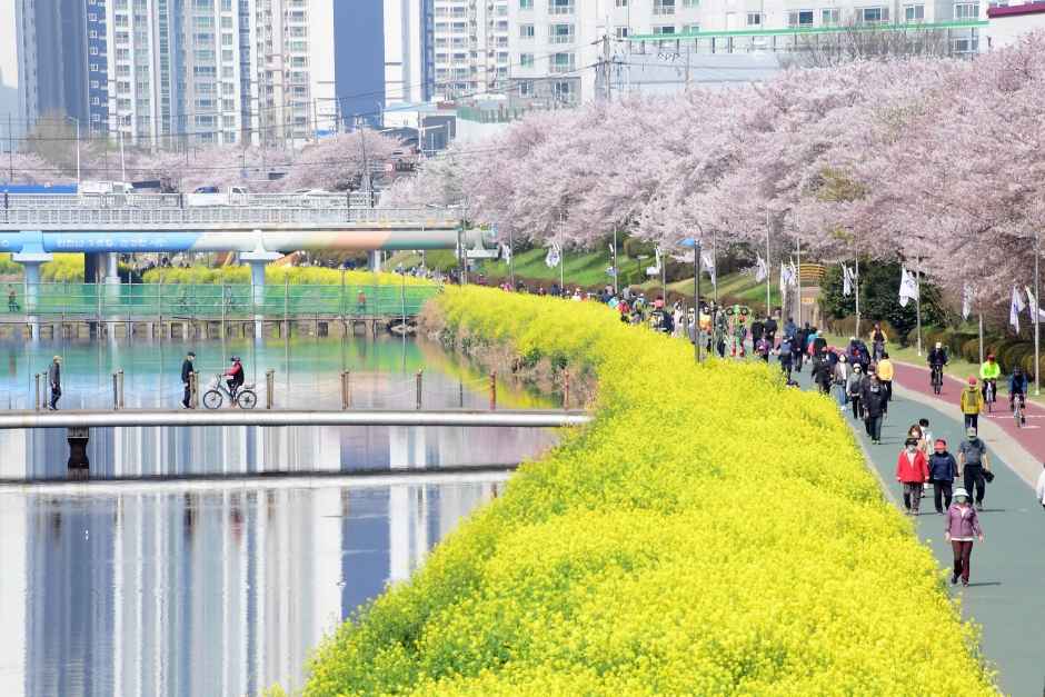 동래온천길(온천천 카페거리) 이미지 1