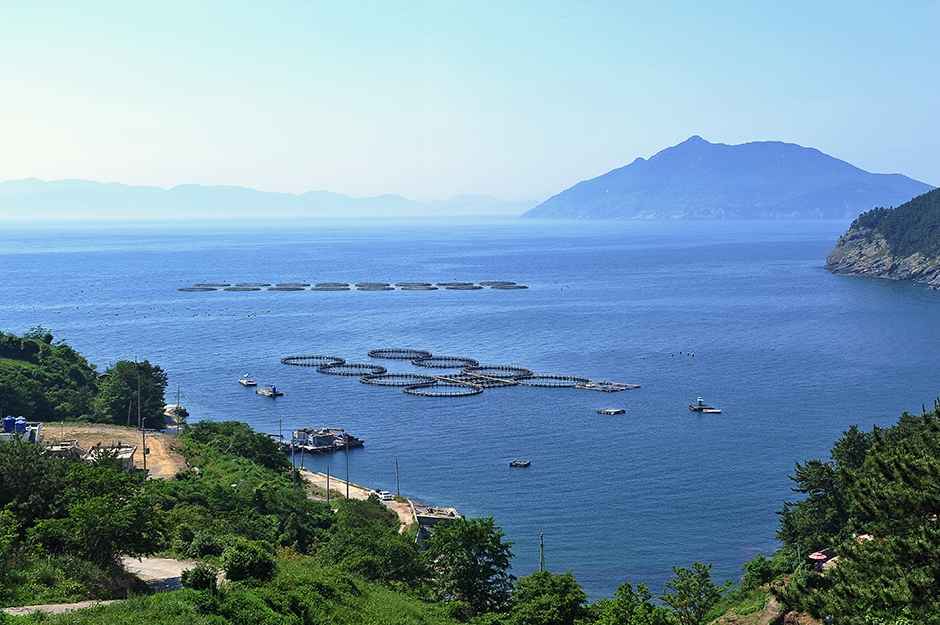 도동해변 이미지 2