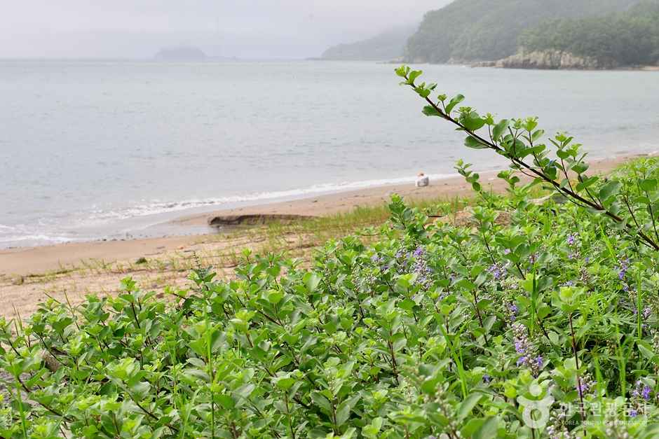 우두해변 이미지 6
