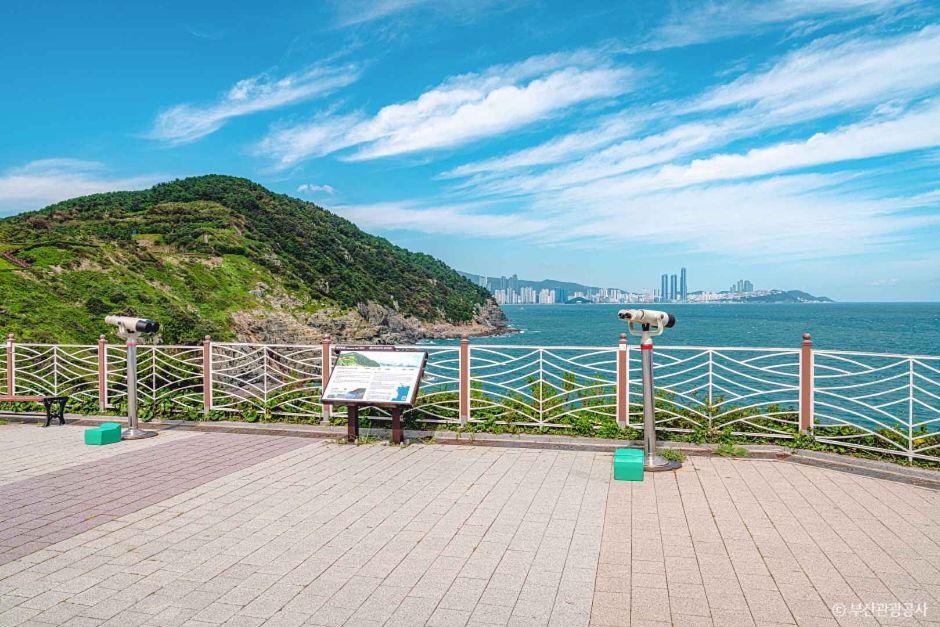 오륙도 (부산 국가지질공원) 이미지 5