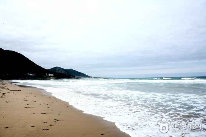 화진해수욕장 이미지 1