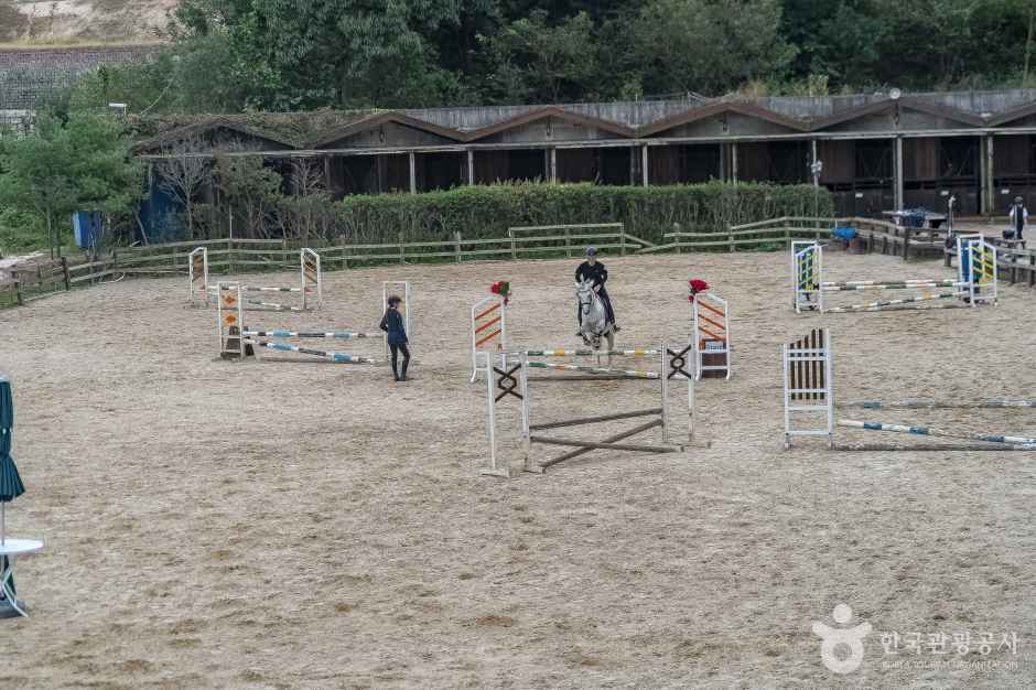 스티븐승마클럽 이미지 4