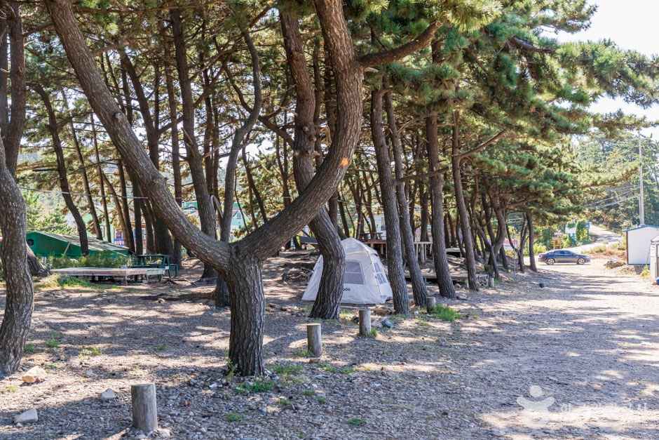 샛별해수욕장 이미지 4