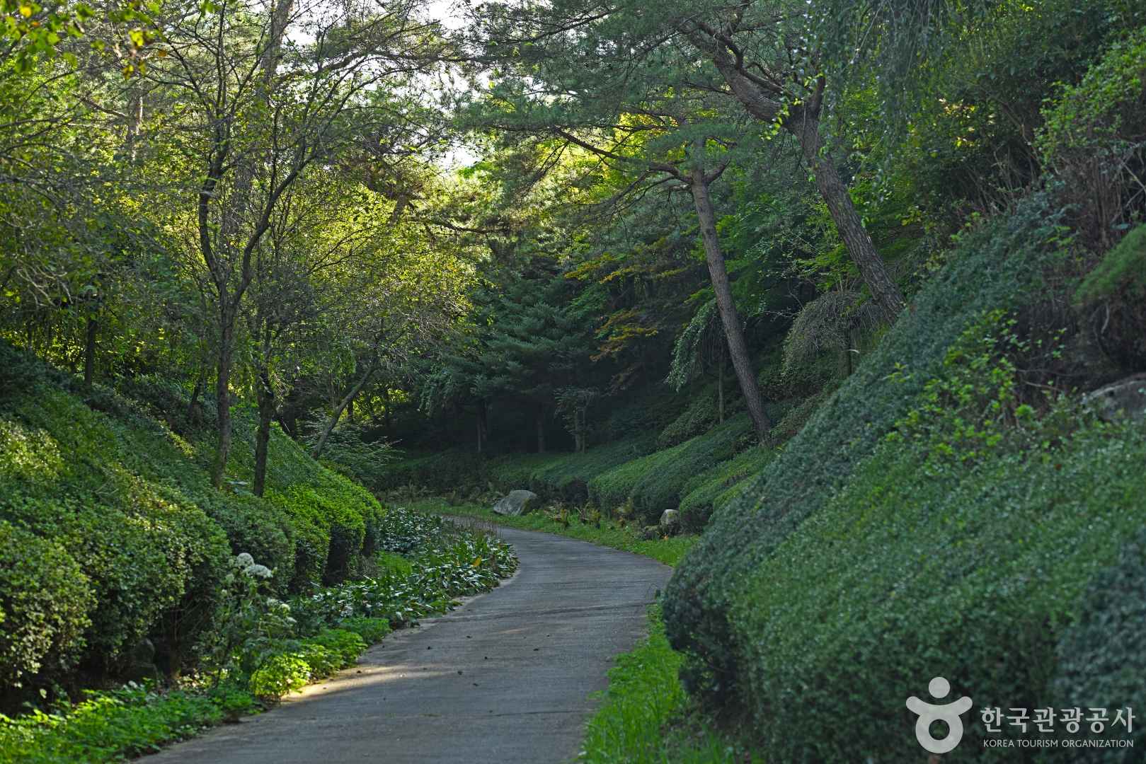 척야산 문화수목원 이미지 7