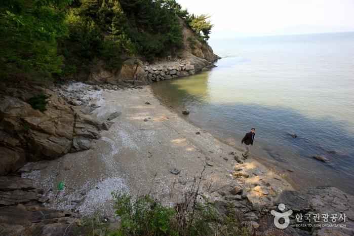 수기해변 이미지 5