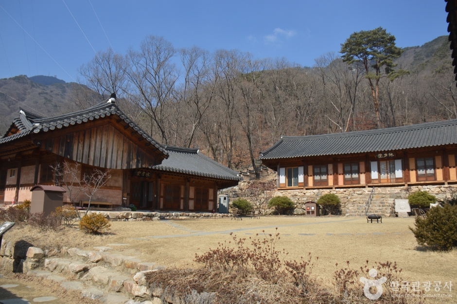 용문사(용문산) 이미지 5