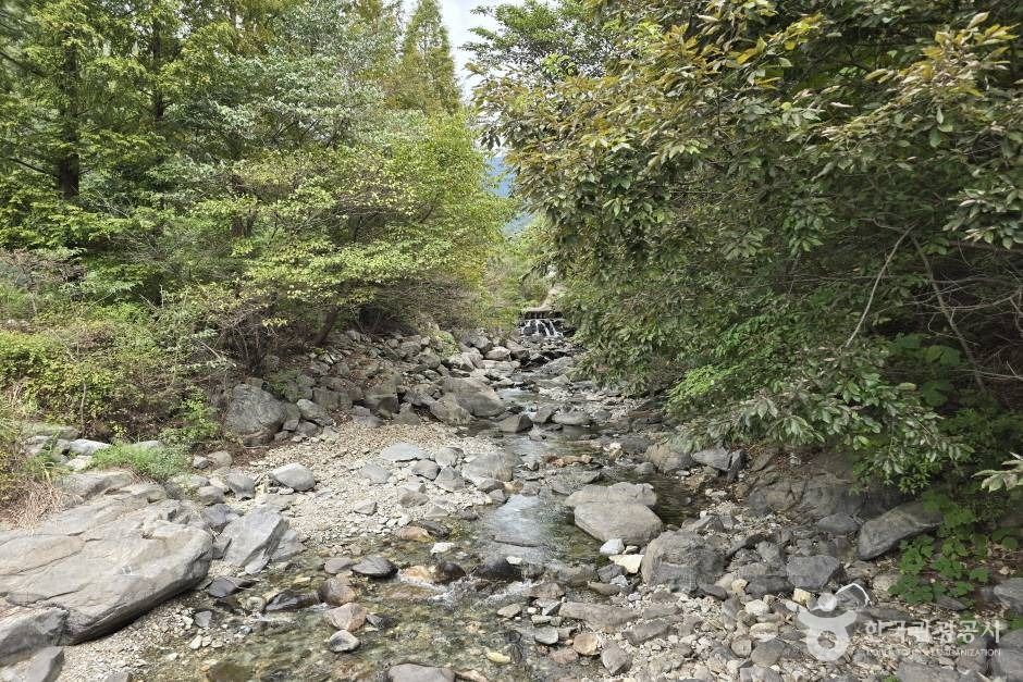 청계계곡 이미지 3