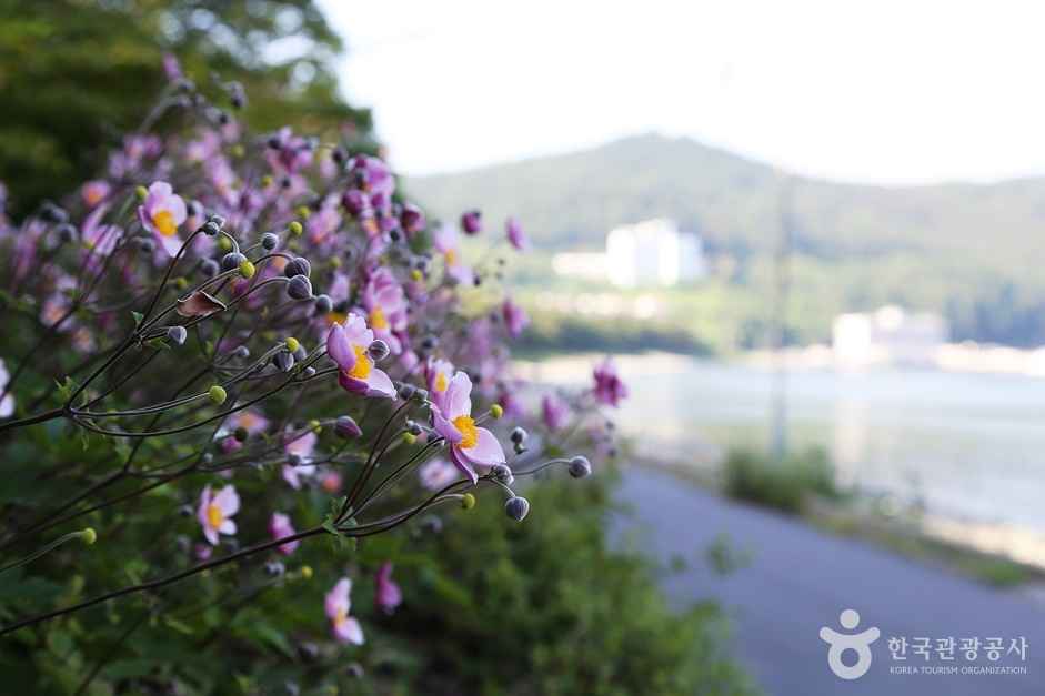 물건해수욕장 이미지 2