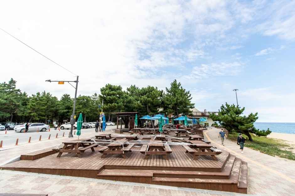 송정해변(송정해수욕장) 이미지 7