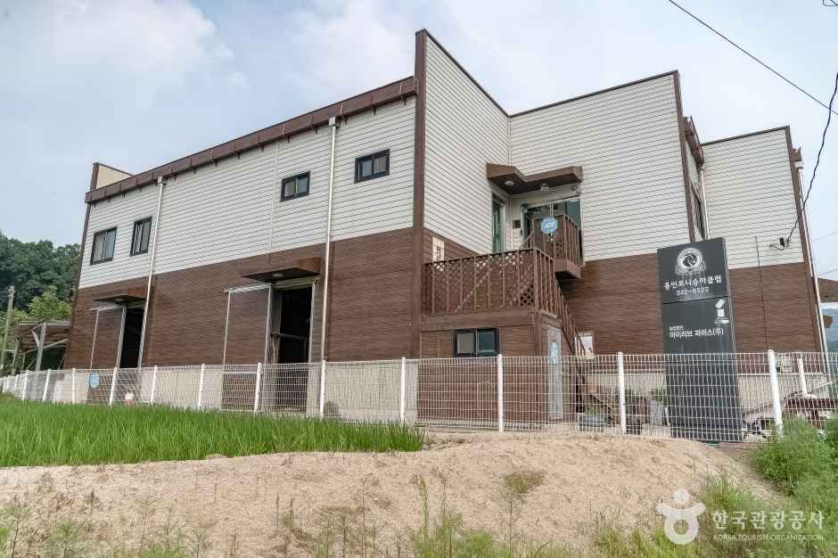 용인포니승마클럽 이미지 2