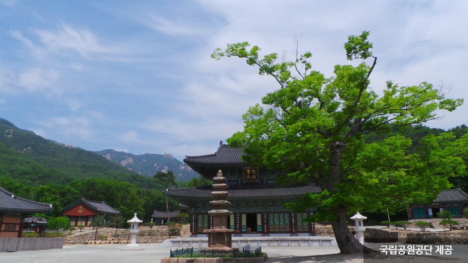 도갑사 이미지 1