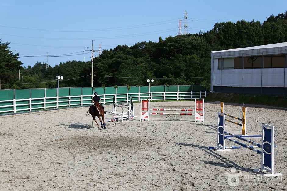 부산기장승마장 이미지 7