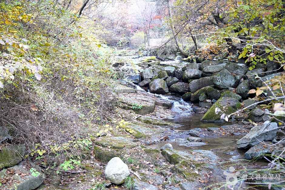 천은사계곡(원주) 이미지 5