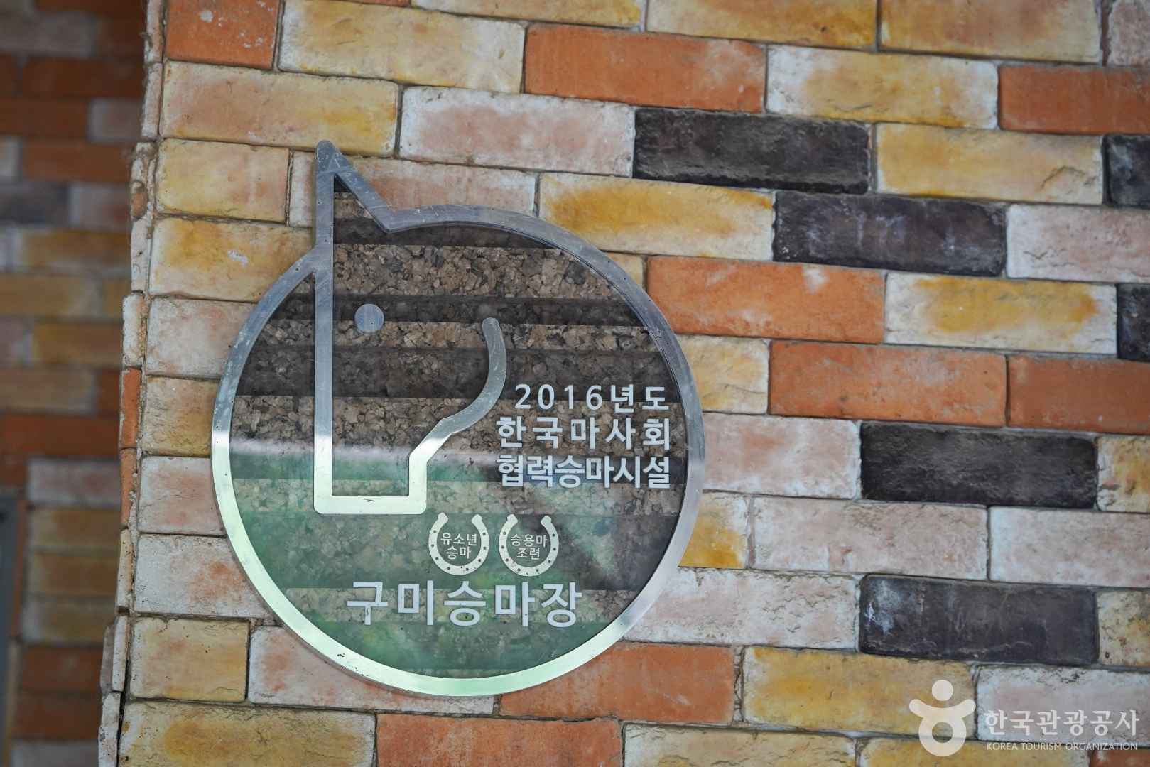 구미승마장 이미지 7
