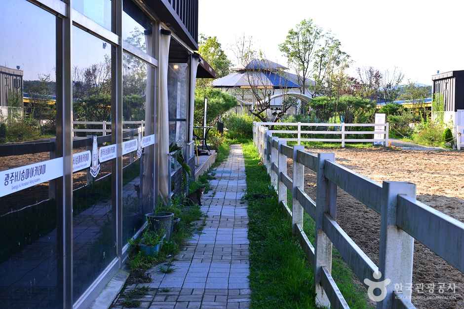 어등산승마클럽 이미지 3