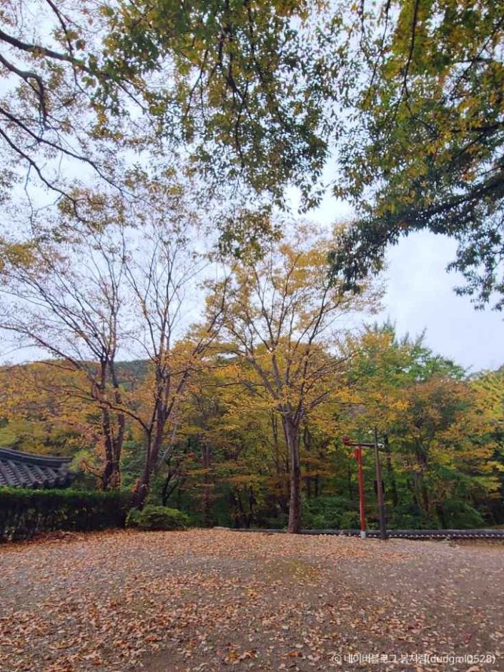 보경사 이미지 2
