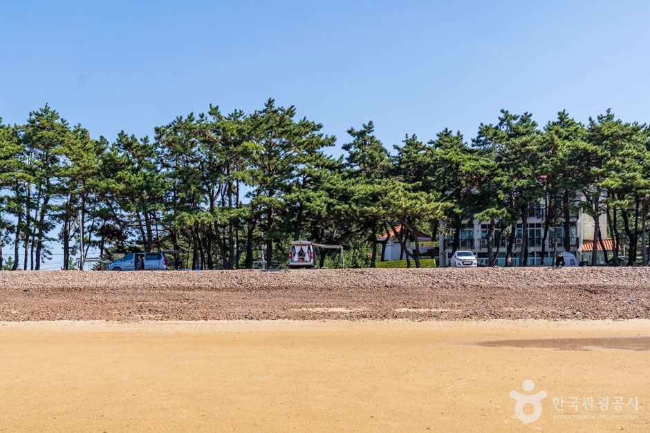 샛별해수욕장 이미지 5