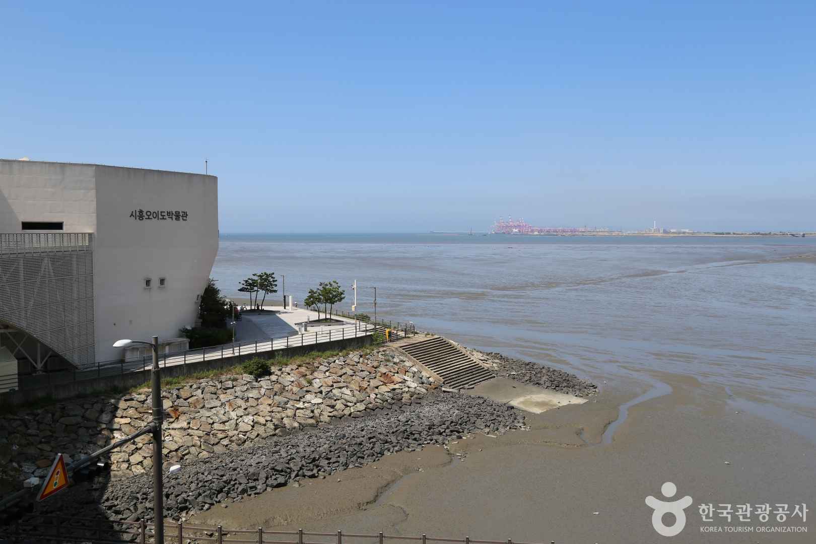 시흥오이도박물관 이미지 6