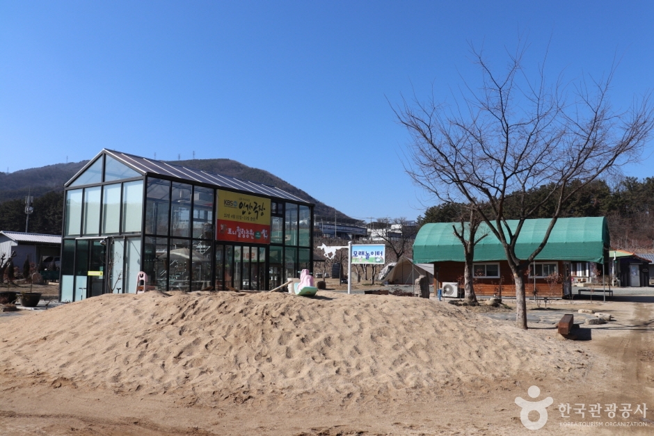 포니힐링관광농원 이미지 4