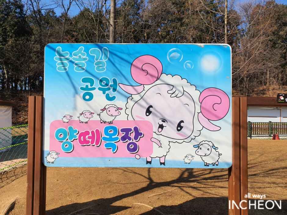 늘솔길공원양떼목장 이미지 3