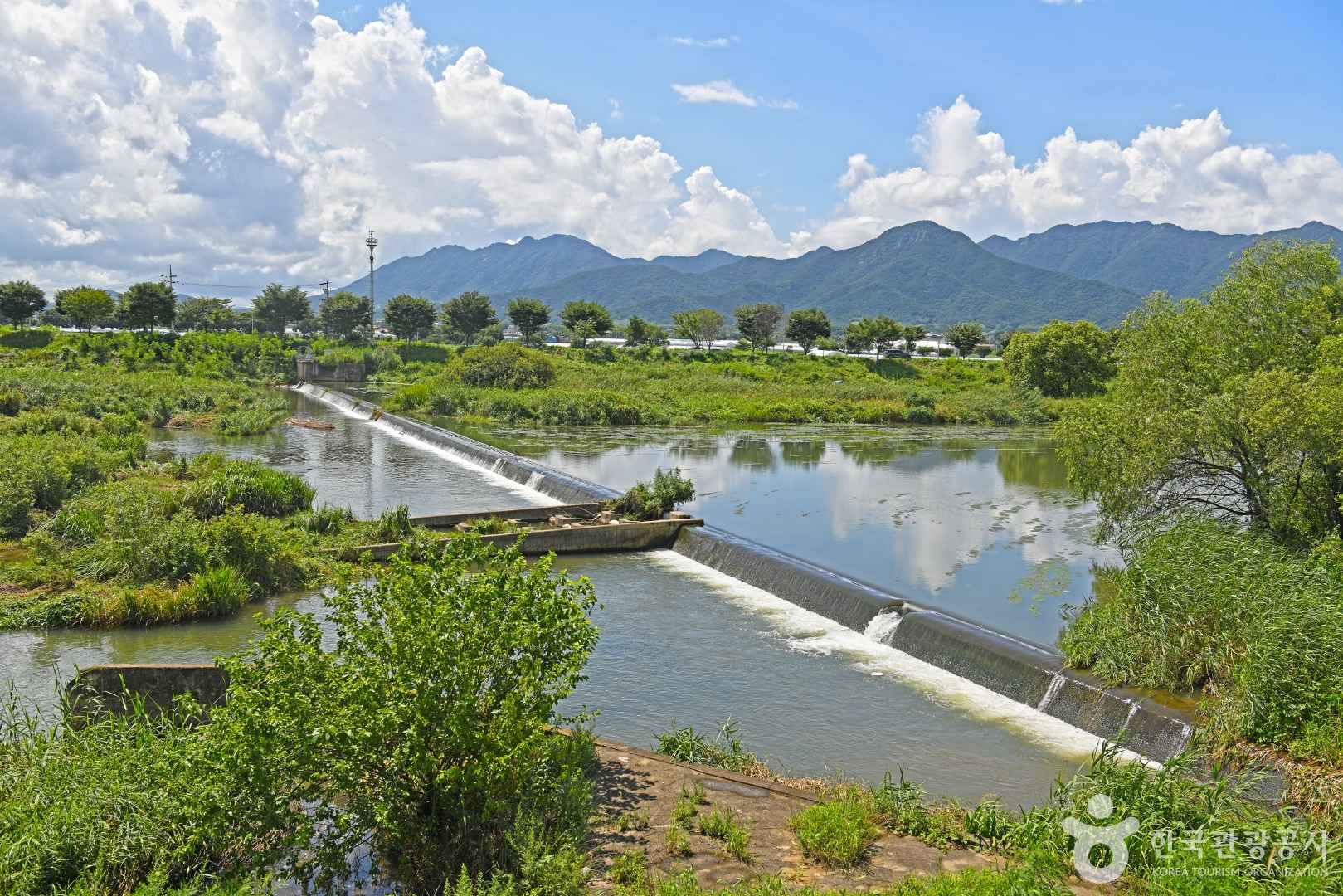 전남 영산강 이미지 4